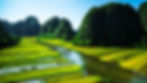 Tam Coc, Ninh Binh, Vietnam pirinç tarlaları